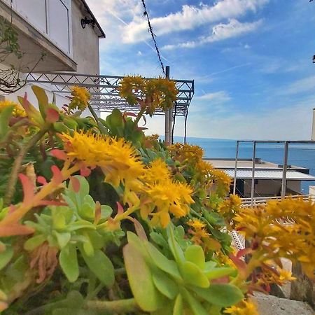 Apartment Cedo Omis Exterior photo
